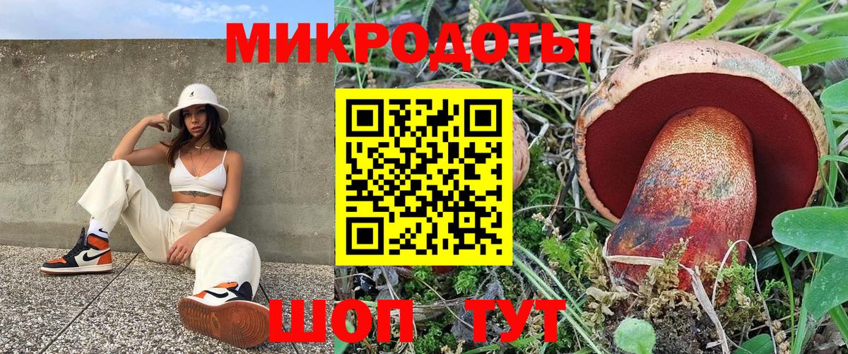 Галлюциногенные грибы Cubensis Конаково